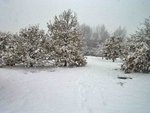 PC020008.JPG