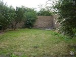un buddleia au fond à gauche, un au premier plan<br />(le jardin est tout moche mais on a déménagé toutes nos fleurs pour habiter ailleurs)