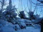 la neige est retombée encore.jpg