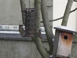 oiseaux 020 (Small).JPG