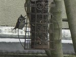 oiseaux 037 (Small).JPG