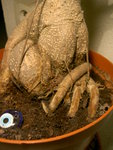 PICT7137.JPG