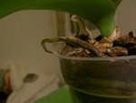 PICT7141.JPG
