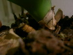 PICT7142.JPG