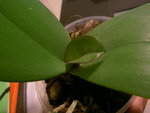 PICT7143.JPG
