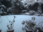 Jardin neige 2010