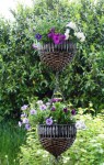 DSC05650.JPG
