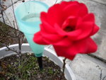 DSCN1659.JPG