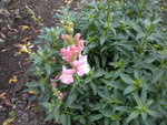 DSCN1649.JPG