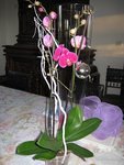 IMG_0592b.jpg