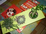 flowerbox1.jpg