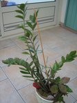 IMG_0283.JPG