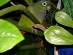DSCN2051.JPG