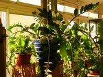 DSCN2052.JPG