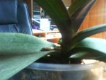 DSC00001.JPG