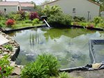 bassin3.jpg