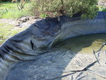 DSC06697.JPG