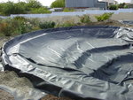 DSC07022.JPG