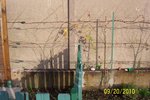 100_0474L.jpg
