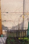 100_0472L.jpg