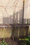 100_0478L.jpg