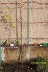 100_0479L.jpg