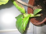 IMG_5956.JPG