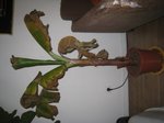 IMG_5958.JPG