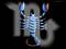 scorpion.jpg