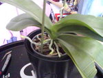 Photo 0407.jpg