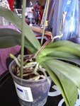 Photo 0404.jpg