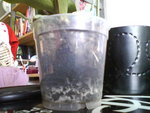 Photo 0406.jpg