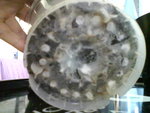 Photo 0405.jpg