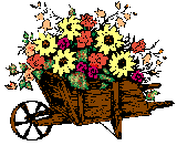 nature_61[1].gif