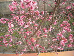 DSCN1692.JPG