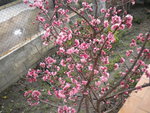 DSCN1693.JPG