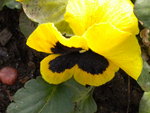 DSCN1695.JPG