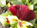 DSCN1696.JPG