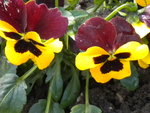 DSCN1697.JPG