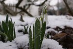 DSC00086.JPG