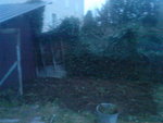 dsc00413pq.jpg