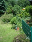 2008 05 31 a.JPG