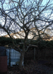DSC_1082.gif