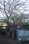 DSC_1083.gif