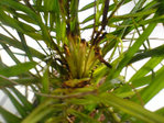 DSC00777.JPG