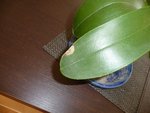 P1050297orchidee1.JPG