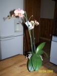 100_3379.jpg