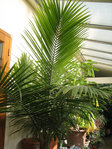 IMG_7373.JPG