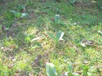 DSCN0753.jpg