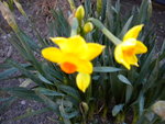DSCN1699.JPG